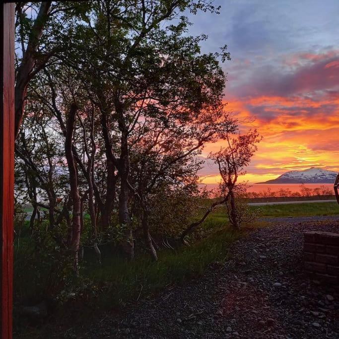 Þorsmoerk Farm 12 Min From Akureyri Apartamento Svalbarthseyri Exterior foto